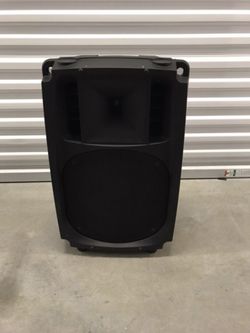 Professional audio system speaker