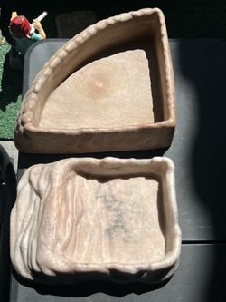 Reptile Supplies