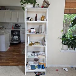 Shelf