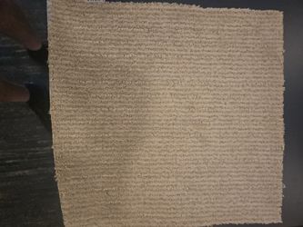 Commercial Carpet – Shaw Hampton Falls | Style 173 Studio Taupe