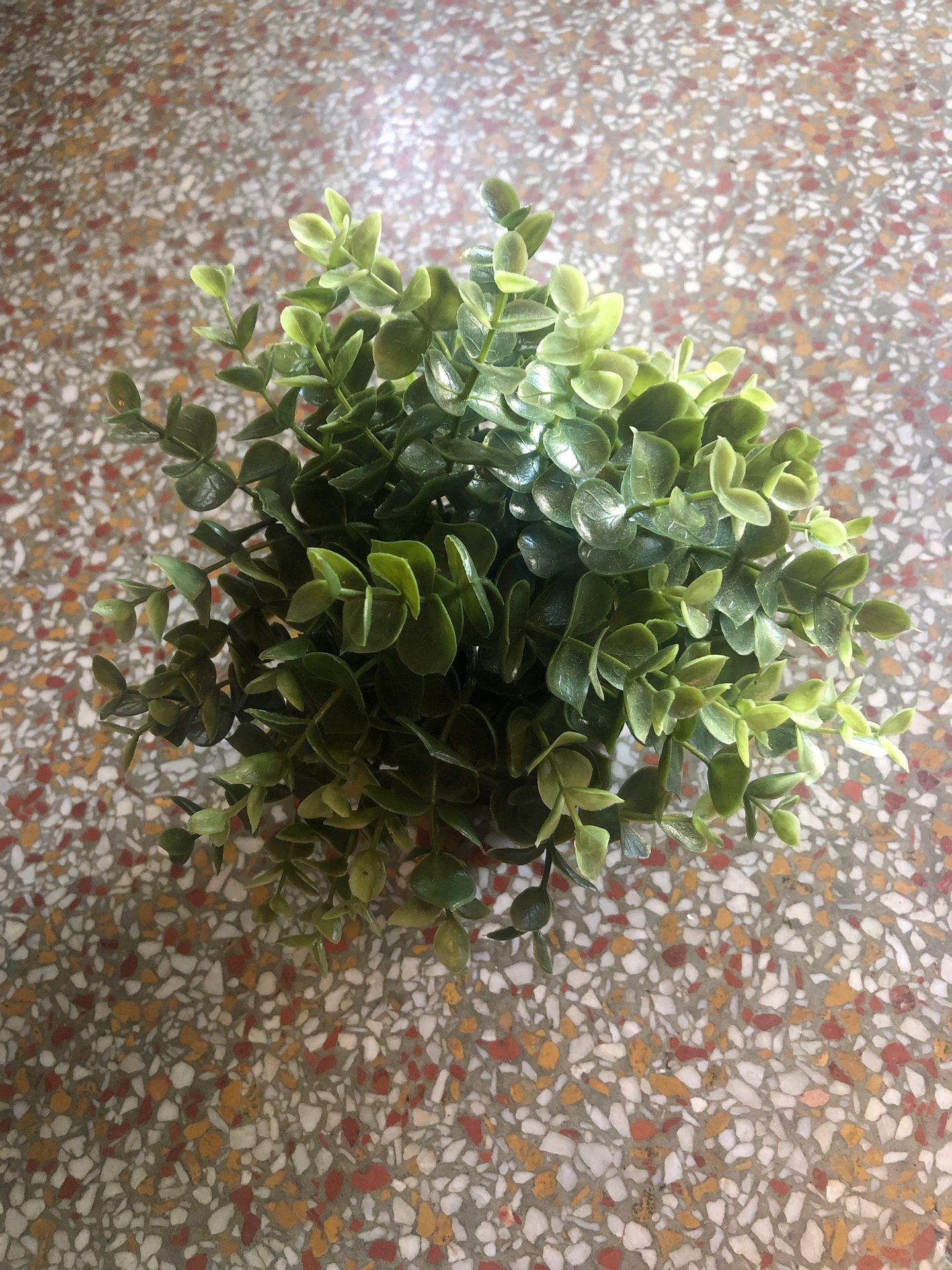 Fake IKEA plant