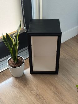 Display Case