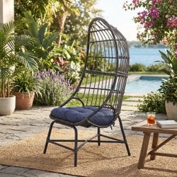 Hanging Egg Chair With Cushion