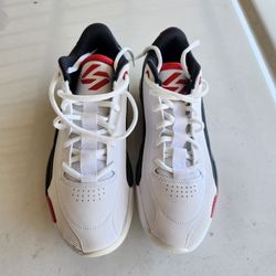 Air Jordan Shoes - Size 10.5 Like New !