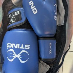 Sting Boxing Gloves