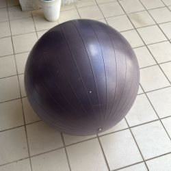 exercise Ball For Adults