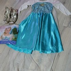 Elsa Costume, Wig and Shoes (1)