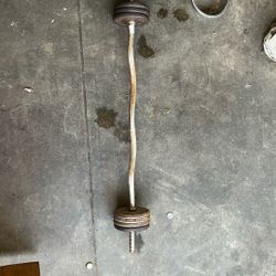Curl Bar Weights Included 