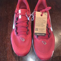 Men’s Nike Pegasus 41 ARIZONA CARDINALS!!