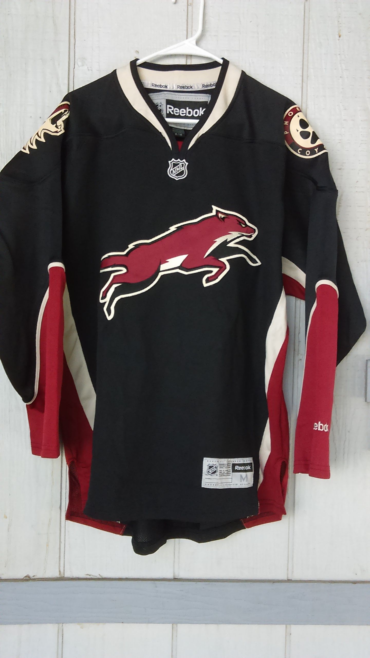Starter Authentic Coyotes Kachina NHL Hockey Jersey for Sale in Sun City, AZ  - OfferUp