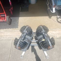 Original Nautilus/BowFlex Dumbbells 5 - 52.5 lbs and Stand $200 OBO