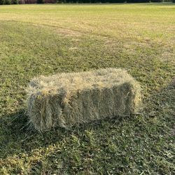 Clean Grass Hay