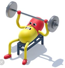 Personal Trainor! Free Gym Access! Get Results! Lose Weight and Burn Fats!