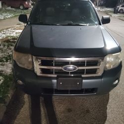 2010 Ford Escape