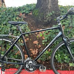 Giant Escape 2 Hybrid Fitness Bike - Large frame Aluminium Bicycle Commuter