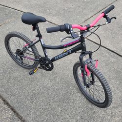 20 In Wheel Bike 