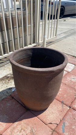 12 $ picked up pot