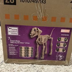 Halloween  Standing Skelly Dog