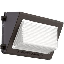 Lithonia Lighting Wall Pack Outdoor Light Fixture 13"