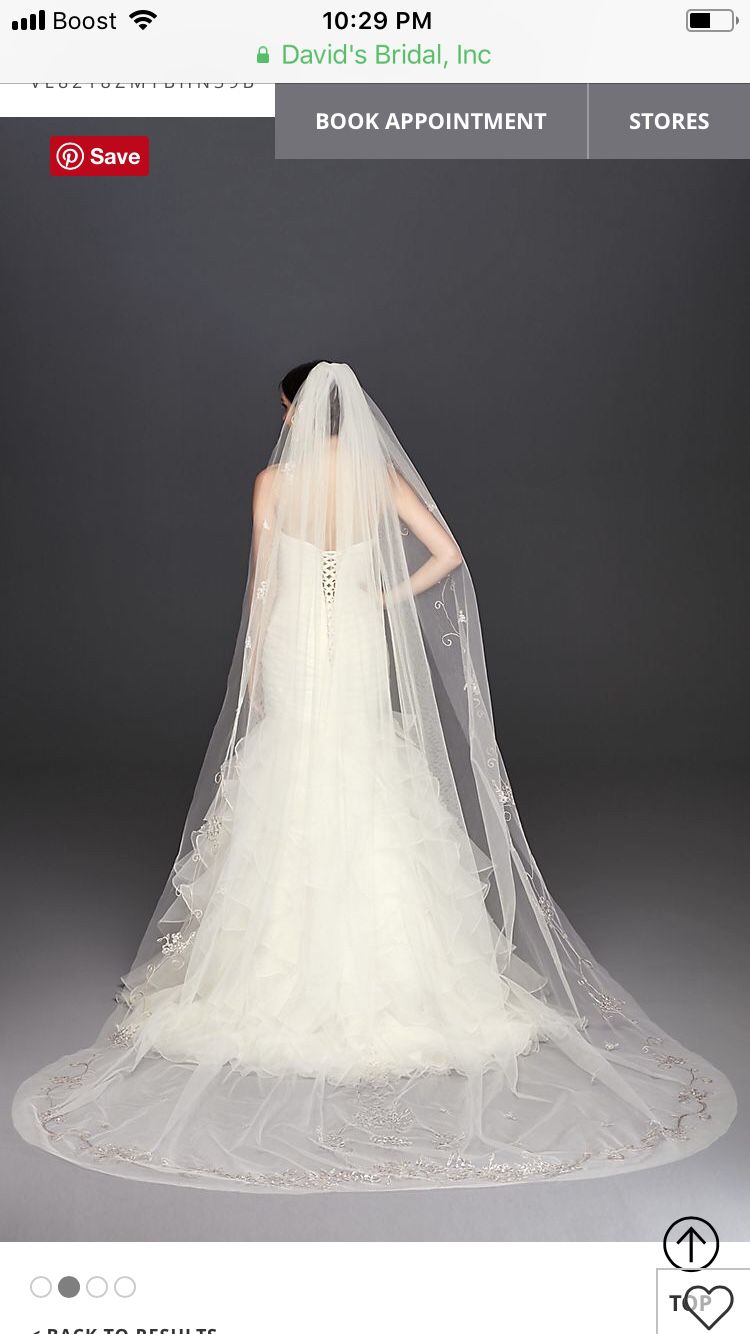 Ivory cathedral filigree lace veil