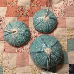 Sea Urchin Air Plant Holders