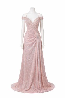 Rose Gold Dress