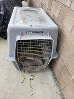 Large Dog Kennel