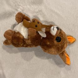 Kangaroo