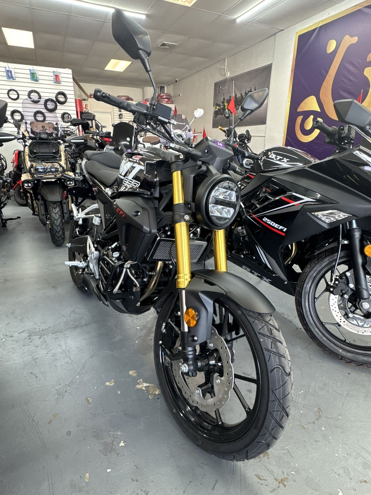 2025 Vitacci XMT