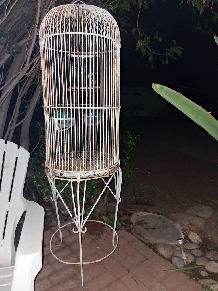 Bird Cage