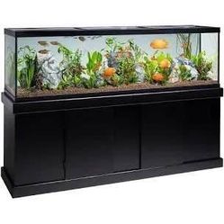 100 Gallón Fish Tank 