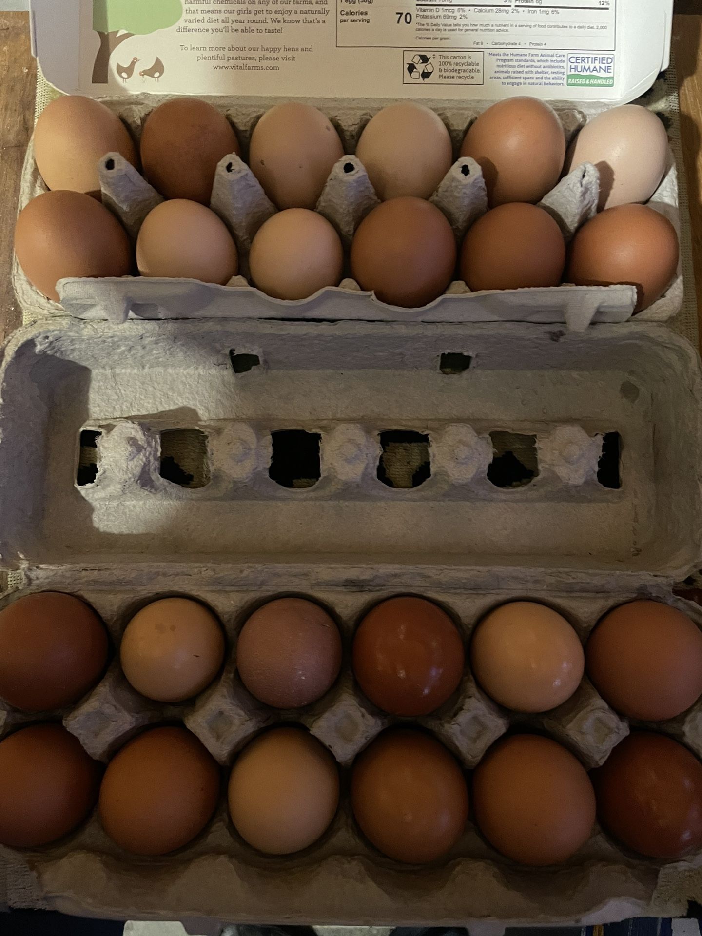 Farm Fresh Eggs