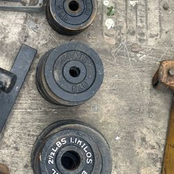  “Cast Iron Olympic-Style Weight Plates – Garage Gym – Heavy Duty”