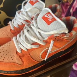orange Dunk Lobsters 