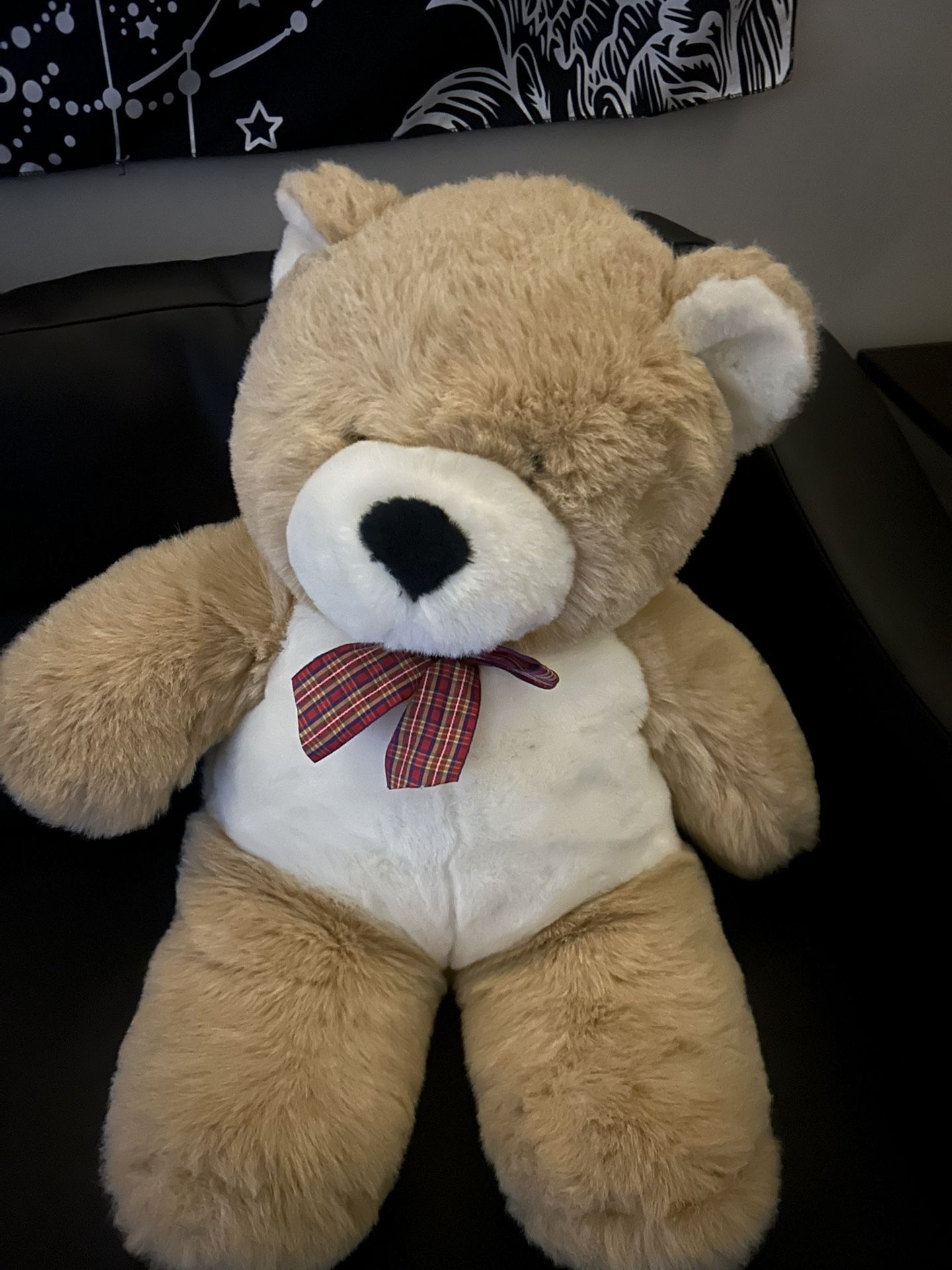 “jumbo” Teddy Bear
