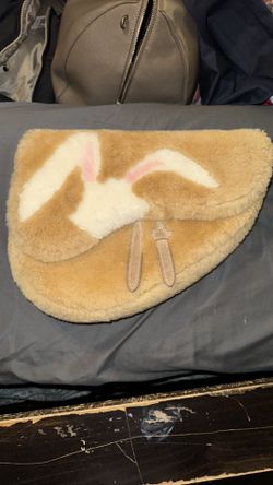 Christian Dior Bag X ERL