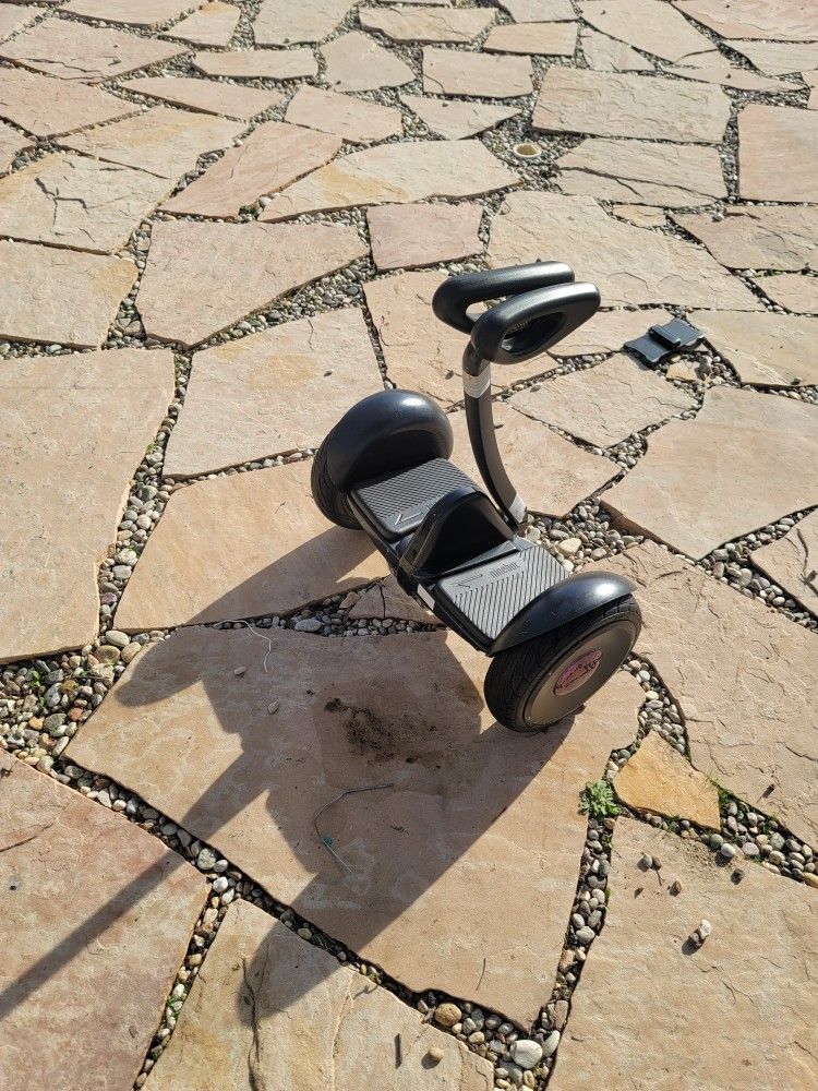 Segway Hoverboard