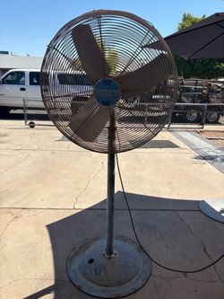Big fan