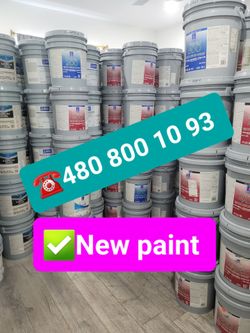 Paint and primer