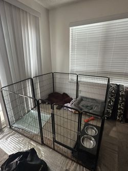 Dog Gate