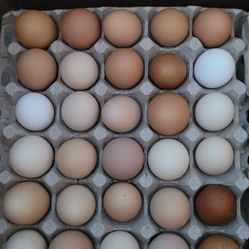 Organic eggs 