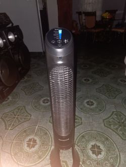 Fan