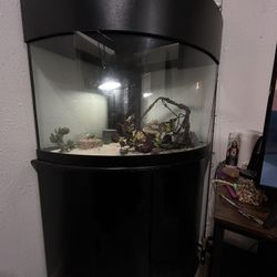Reptile Tank/Fish Tank