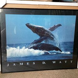 Whales Jumping- 28” X 22” - New With Box - Framed Print By Renowned Photographer James D. Watt