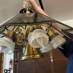 Vintage 22 inch brass and glass chandelier with frosted rose shaped light covers