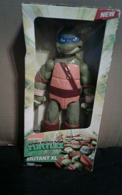 Tortuga nueva