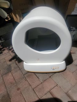 Cat litter