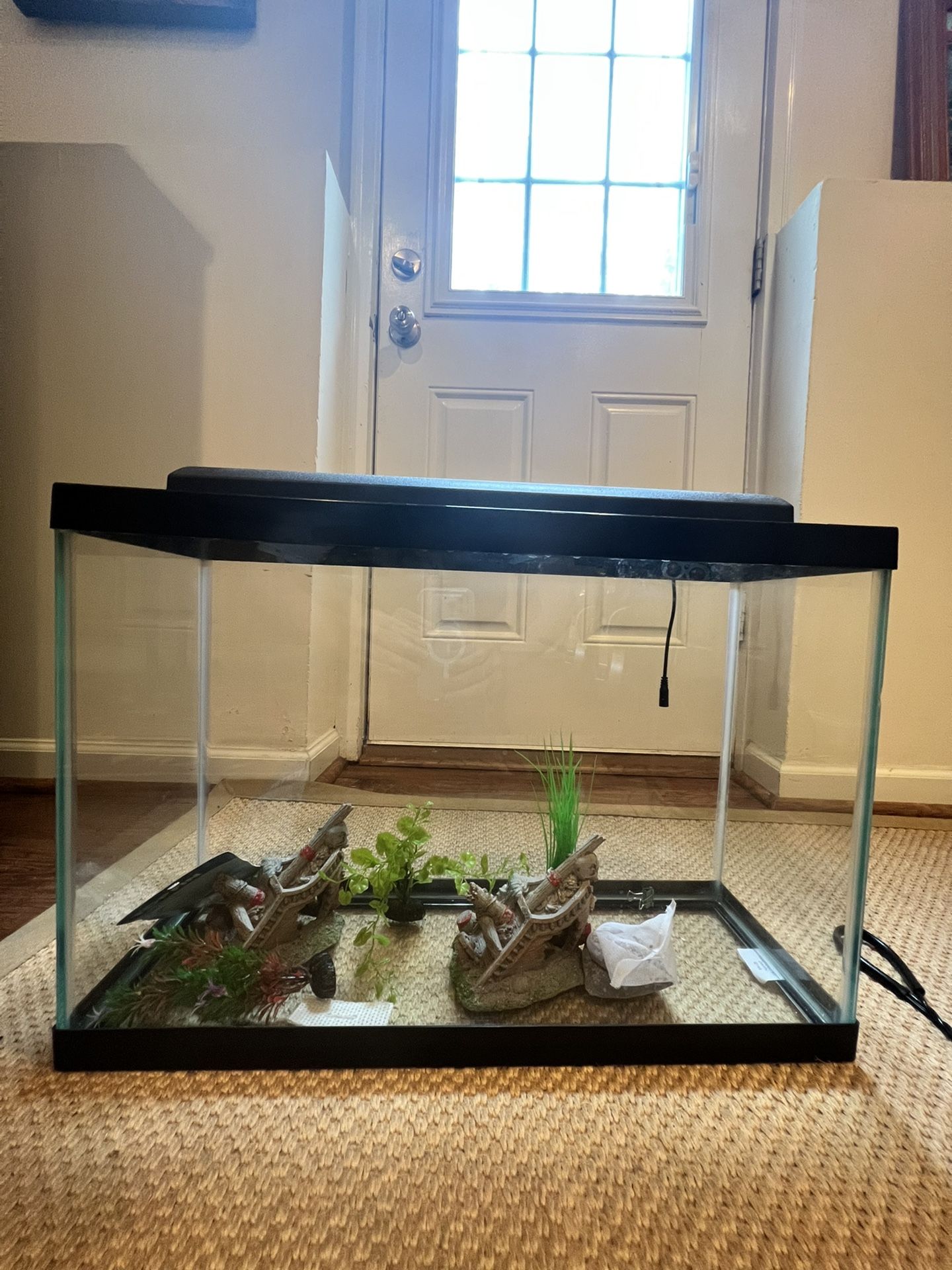 Fish Tank + Food & Accessories for Sale! 