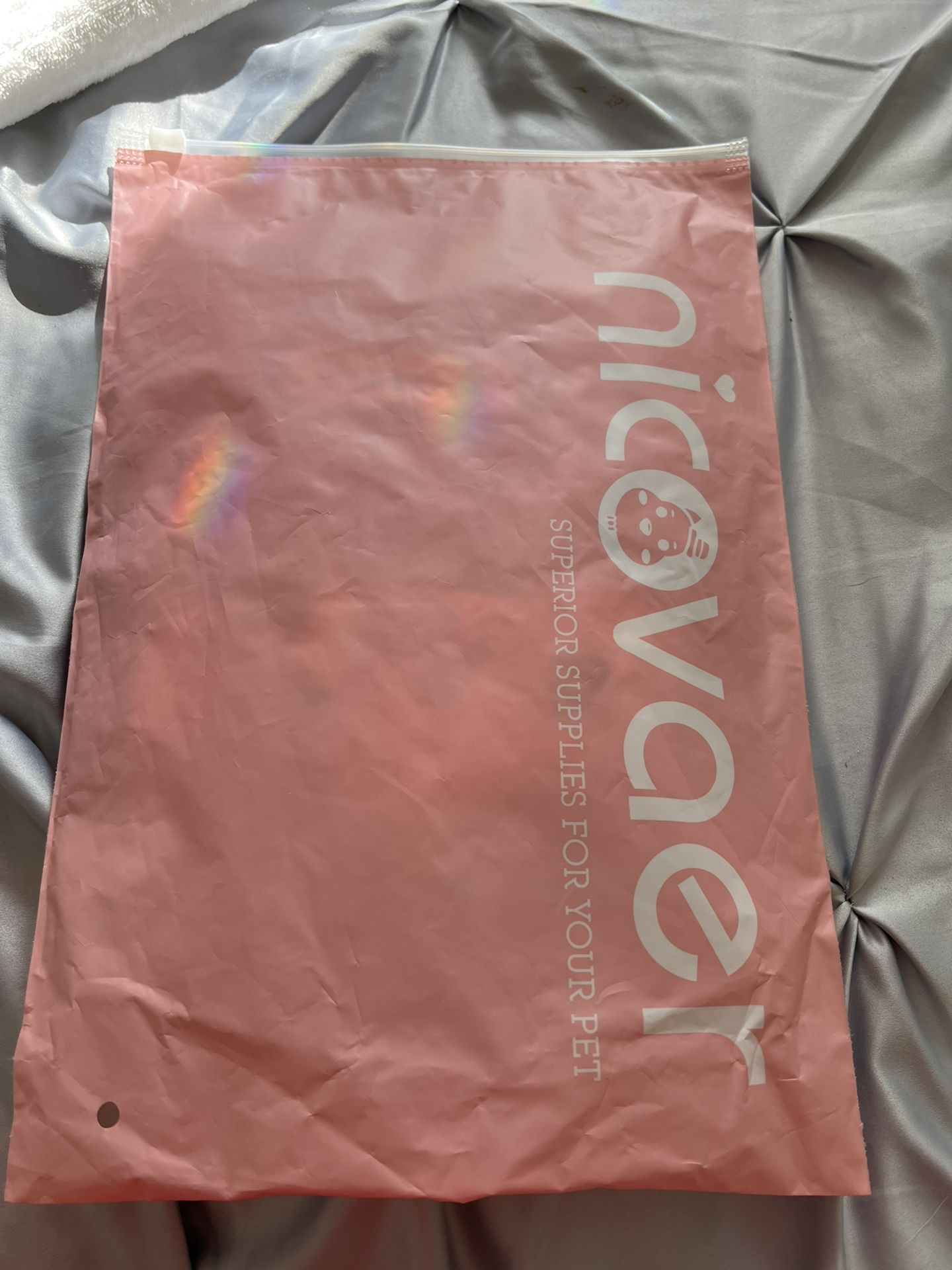 Brand New Dress For Puppy