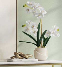 Luxe Orchid in Geometric Pot - Threshold